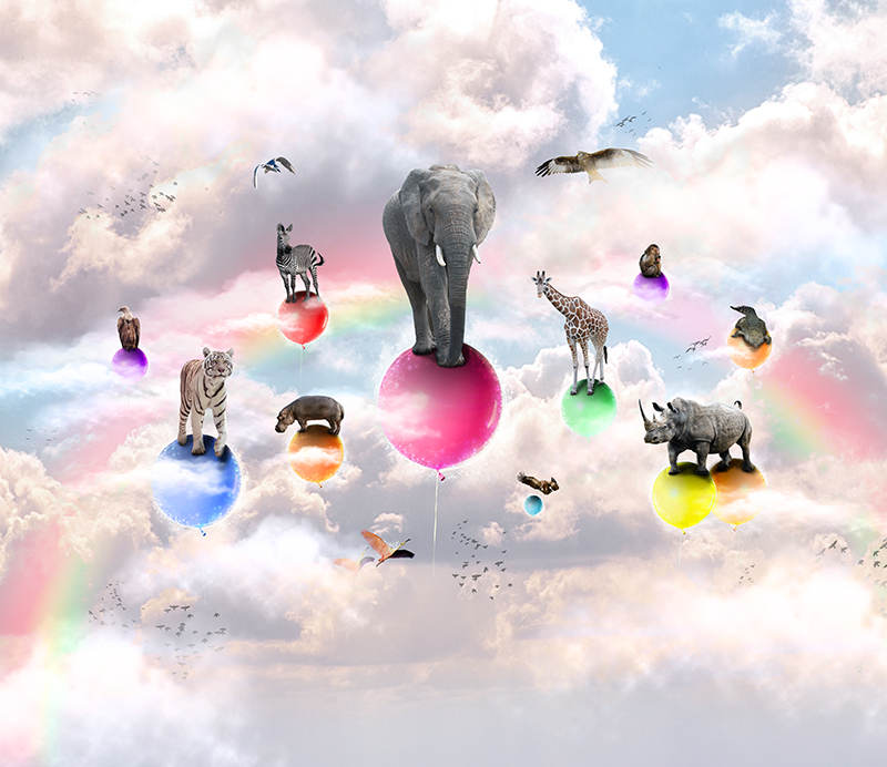 FOTOBEHANG dieren in de wolken 292x255cm